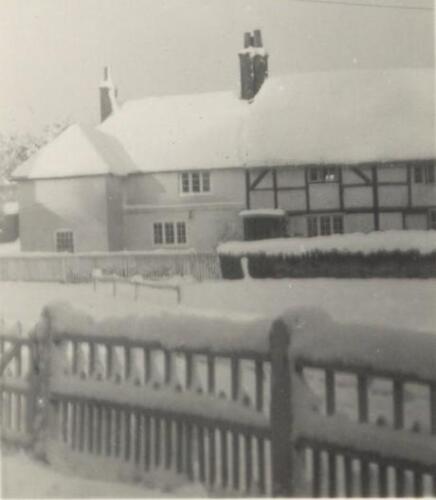 A-18 c1963 Willow in snow from Pond House