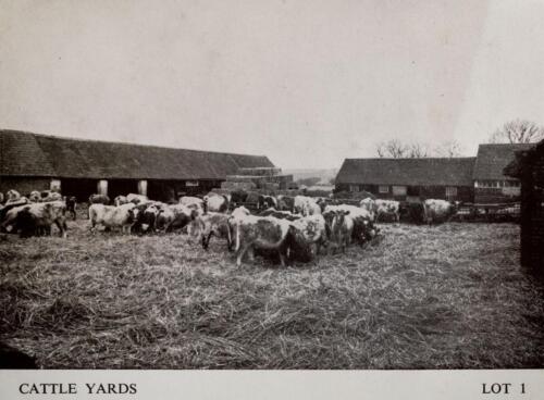 D-15a Manor Farm cattle yards 1944 small
