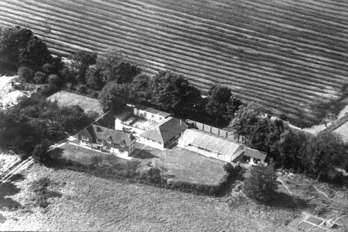 D-20 Cleves farm and lane aerial photo 1969